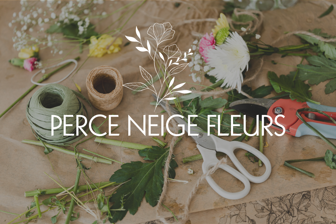 Perce Neige Fleurs